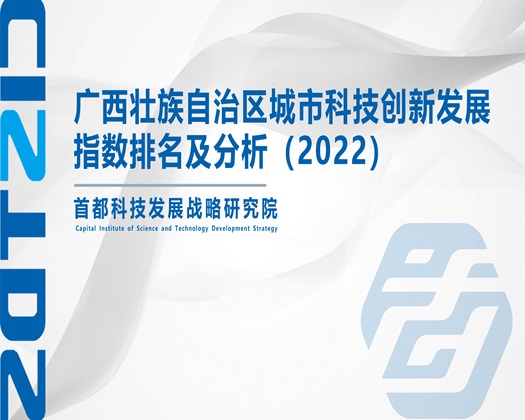 日BB大片【成果发布】广西壮族自治区城市科技创新发展指数排名及分析（2022）